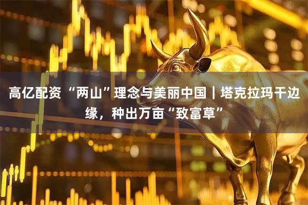 高亿配资 “两山”理念与美丽中国｜塔克拉玛干边缘，种出万亩“致富草”